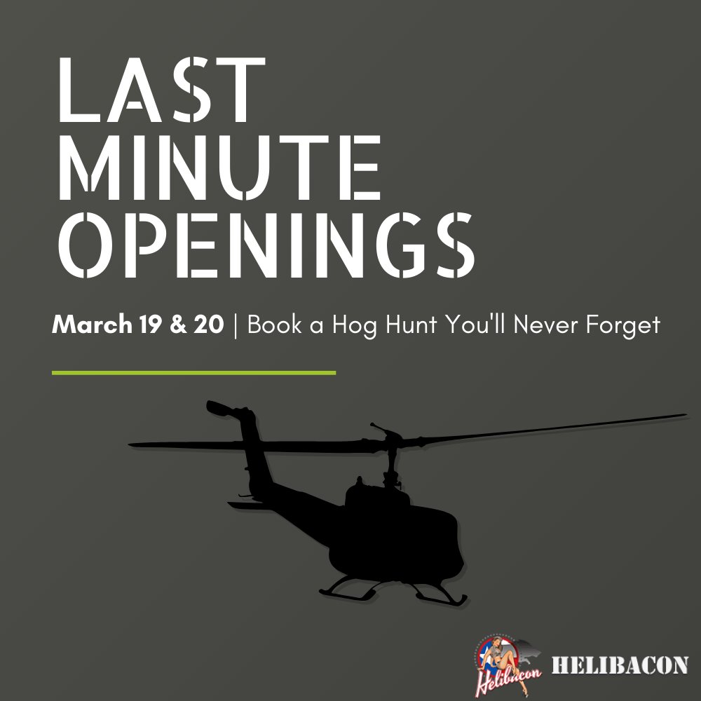 Helibacon's tweet photo. We just had a few spots open up this month. Act Fast! #HelicopterHogHunting #HogHunting #onlyinTX
📞 Give us a call: (877) 859-3623 https://t.co/GdB6Hjrpq8
