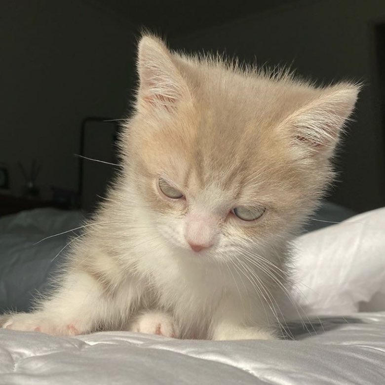 🥞 #강다니엘 #KANGDANIEL