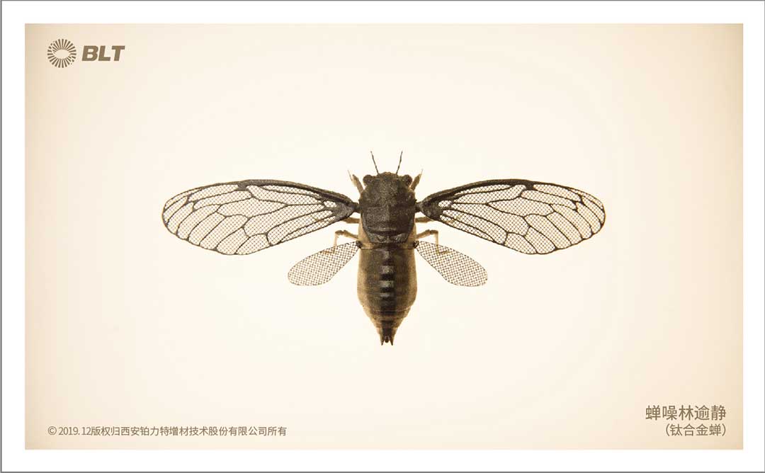 China_BLT's tweet photo. Titanium alloy cicada, made by BLT-S210
#AdditiveManufacturing 
#3dprinting https://t.co/5n8qm1jgSg