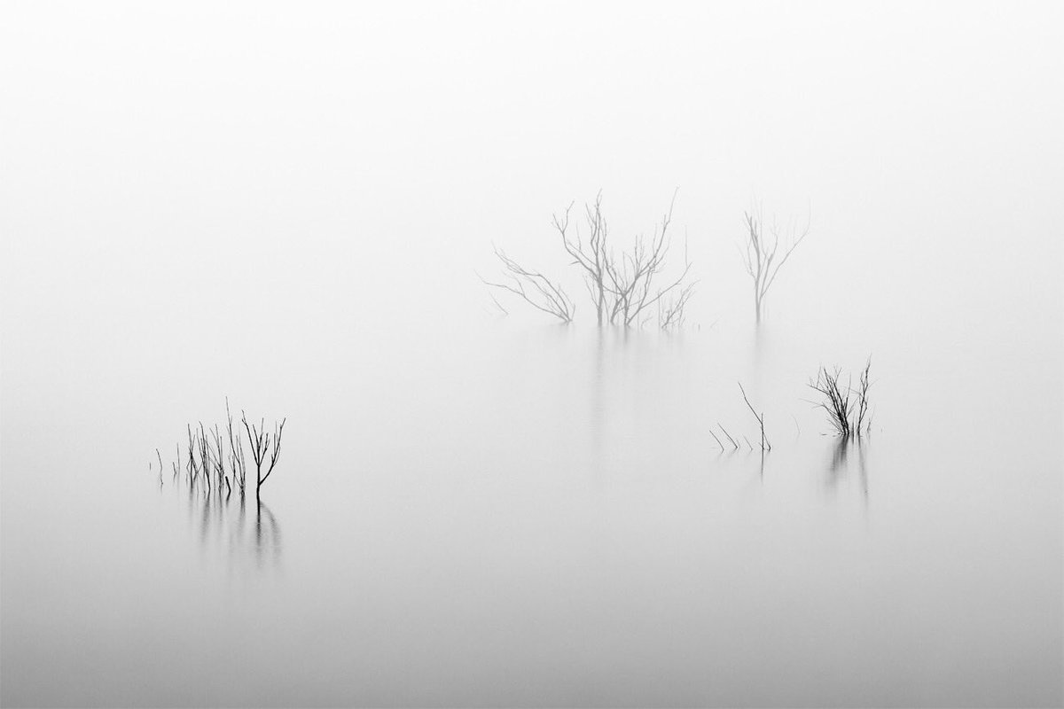 'Five Souls' © 2020 David Frutos Egea

#canon #photographer #minimal #fineart #fog #foggy #water #yourshotphotographer #lagoon #waterscape #blackandwhite #longexposure #photography #davidfrutosphoto #landscape #landscapephotography #followme #nature #CanonEspaña @canonespana