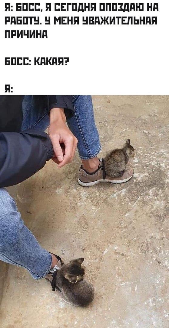 Russian Memes United tweet media