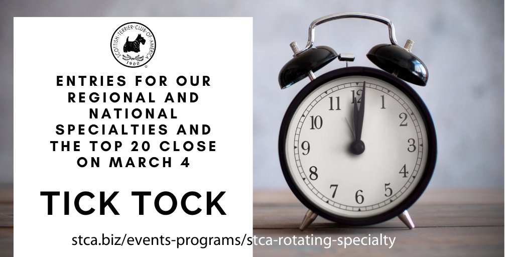 STCAScotties's tweet image. Don't miss out. We have a jam-packed weekend of #Scottie fun planned for #Ohio and we can't wait to see you! 
Find more info at stca.biz/events-program… @CLUBSAKC @akcdoglovers #iamdogshows #scottiegroomersrock