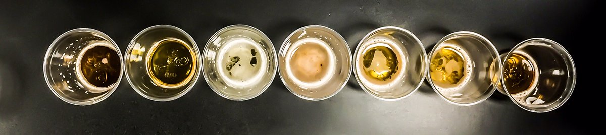 Ever tried to sort our the differences between an American Brown, British Brown, Munich Dunkel and an Irish Red? They all look pretty darned similar. Can you tell them apart on aroma &amp; flavor? Train with us. bit.ly/2UOj48D