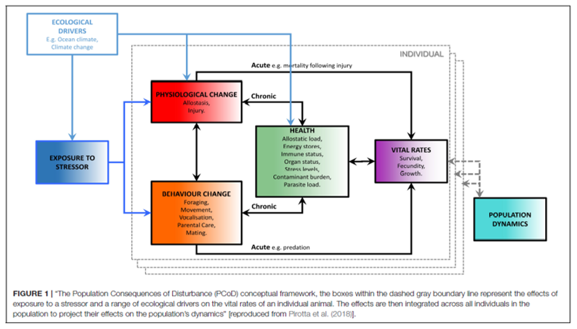 SMRU_Consulting's tweet photo. New Blogpost! (and exciting news): 

Our review of the Methods for Monitoring for the Population Consequences of Disturbance (PCoD) in Marine Mammals has been published and is now available in #FrontiersinMarineScience 

Read more:
https://t.co/Z3Ubtfc8bM

#PCoD #marinemammals https://t.co/ZuRBNFF0Jp