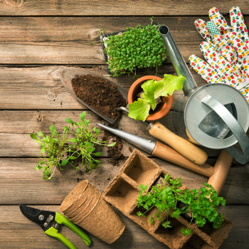 With warmer weather on the way, now is the perfect time to start thinking about your garden. Not much of a green thumb? No problem! We’ve got three simple tips to help get you started. Are you ready to watch your garden grow? bit.ly/2wR6J9y