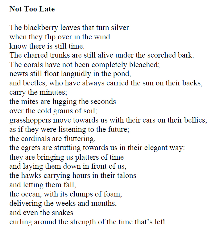 CarsonCenter's tweet photo. It's #WorldWildlifeDay! Here is an inspirational poem by nature writer Ellery Akers, from her new book: Swerve: Environmentalism, Feminism, and Resistance. #envhum #envhist #envlit #hope #conservation https://t.co/qVkZocuFtb