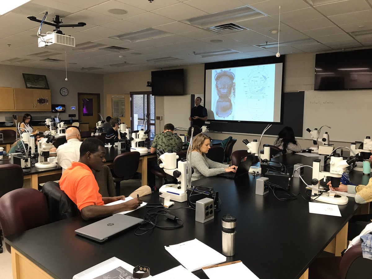 ChrisBorkent's tweet photo. The stink bug parasitoid course for 2020 is underway! #entomology #hymenoptera #tinyinsects https://t.co/RweFSvzbEZ