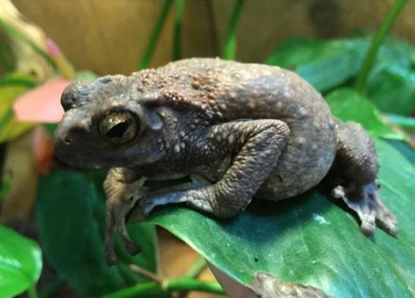 The RAD Zoo is officially open in their new location at the Ultra Outlets of Minnesota in Medford! Stop by and check out these rad animals. 
#VisitOwatonna #OnlyinMN
