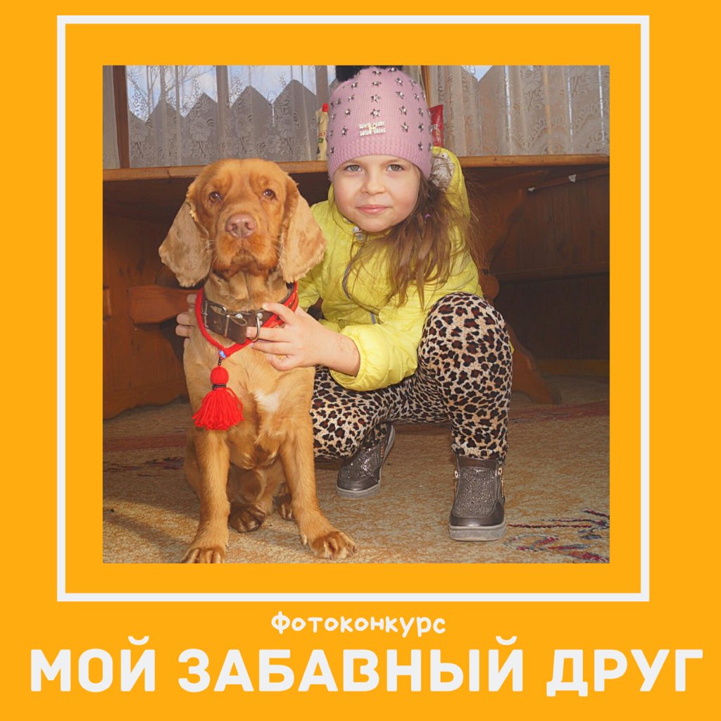 kotopes_nv's tweet photo. Совсем скоро завершится наш фотоконкурс в группе «ВКонтакте»

https://t.co/NpyvFY7ttR

#ПесиКот #фотоконкурс #Рабочая4 #домашнийпитомец #ветеринар #ВсеДляЛюбимца #Нижневартовск #Котопес #Зоотовары #Зоомагазин #ветклиника #конкурснижневартовск #фотоконкурснижневартовск https://t.co/FzRRHsHTZm