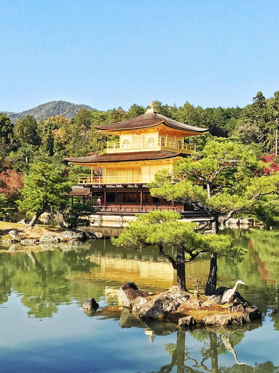 ManMeetsTheWrld's tweet image. Kinkaku-ji is a Zen Buddhist temple in #kyoto 🇯🇵 Also known as the Golden Pavilion. This place is filled with beauty and tranquility. It's so quiet you could hear a pin drop!
#japan #travel #travelling #travelphotography 
Follow me 👇🏽
Instagram.com/manmeetsthewor…