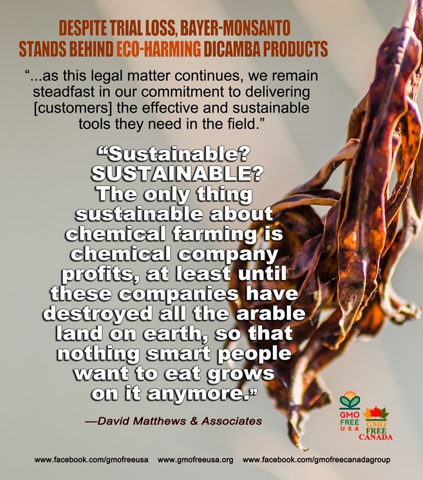 GMOFreeUSA's tweet image. A jury has ruled that both Monsanto and BASF acted negligently and engaged in a “conspiracy to create an ecological disaster to increase profits.” 

Despite all the evidence, these companies refuse to admit wrongdoing.
 
dmlawfirm.com/jury-awards-26…

law360.com/articles/12488…

#Dicamba