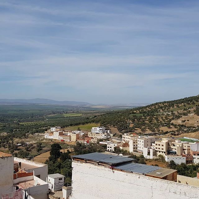 Dar Zerhoune tweet media