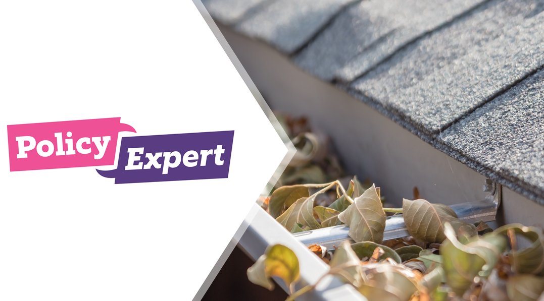 Check out our latest blog post for hints and tips on how to maintain your home's gutters.
https://t.co/uCFqRHMrwR https://t.co/mmv3TirTFU