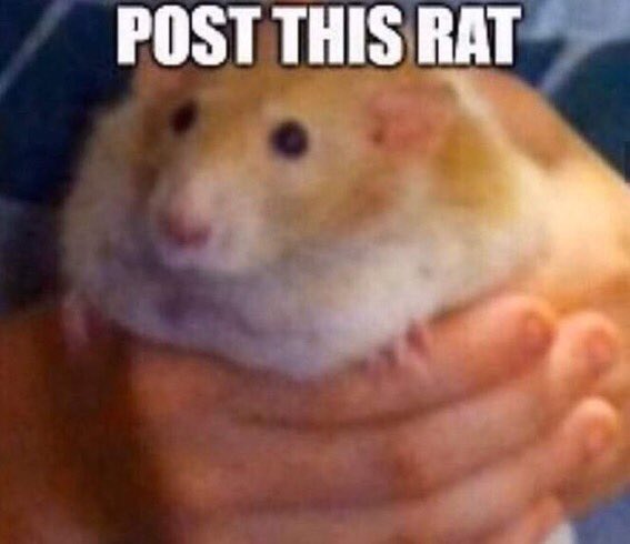 𝒦𝒾𝓂𝒾. (@nuvematowned) on Twitter photo 