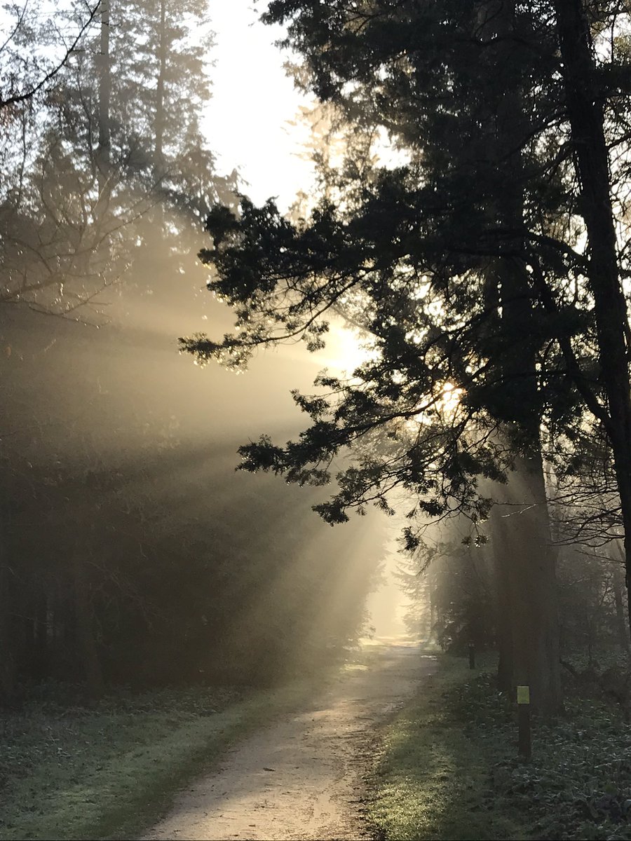 Vanmorgen! <a href="/LSchovenhorst/">landgoed Schovenhorst</a>
