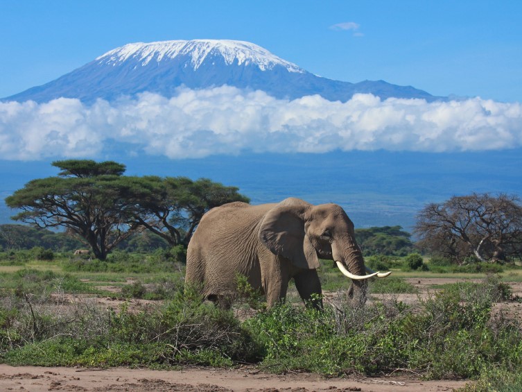kandooadventure's tweet photo. As it's #WorldWildlifeDay we thought we would share with you some wildlife pics from some of our favourite destinations.
Can you match the animal to the country?
#KandooAdventures #Nature https://t.co/EB74rPub6L