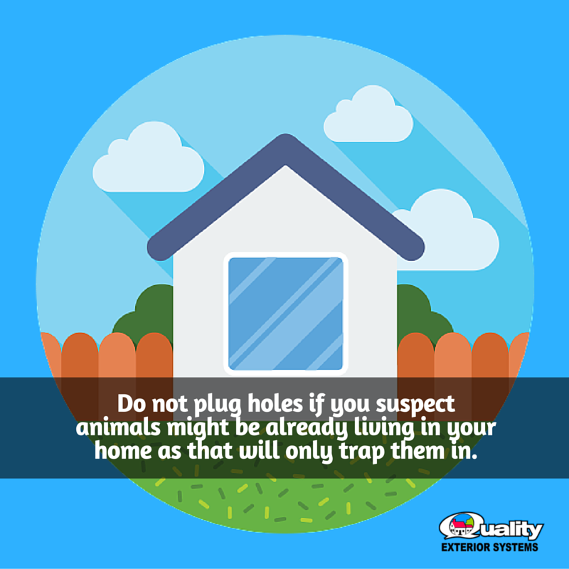 Quality Exteriors tweet media