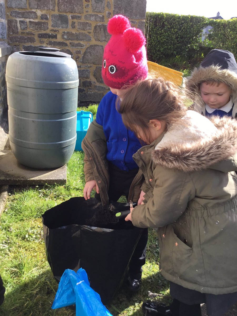 TroonWillow's tweet photo. Planting our potatoes.  🥔 https://t.co/qe7DCPt60L