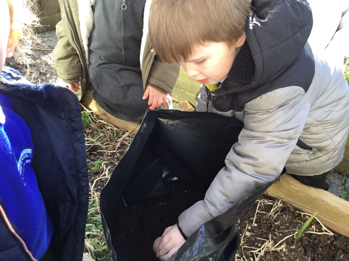Planting our potatoes.  🥔
