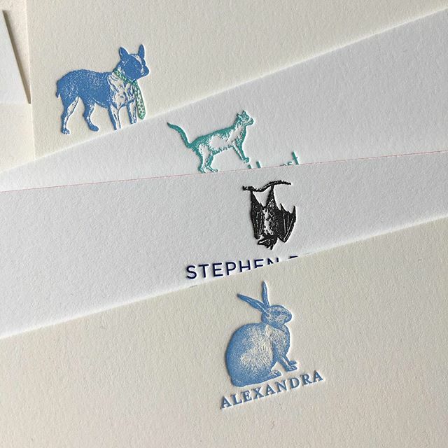 Sesame_LP's tweet photo. There's a lot going on in the world right now. Here are some little animals to cheer up the morning. •
•
•
•
•
•
•#customstationery #letterpressstationery #letterwriting #bespoke #handmade #madeinbrooklyn #personalized #pets #letterpress #thankyounotes #snailmail https://t.co/evQgj9BvCc