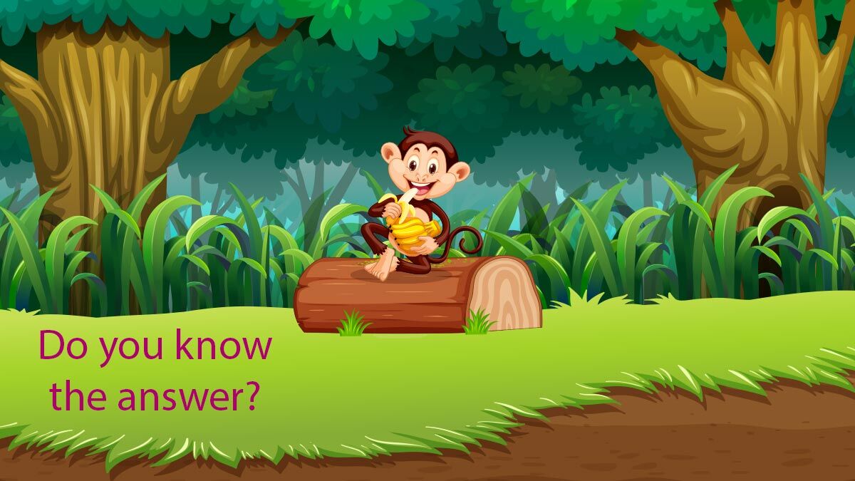 SpiritofMath's tweet photo. Mr. Monkey loves bananas! He picked 2 dozen bananas and ate all but 21 of them. How many bananas did Mr. Monkey eat?
a)3 b) 5 c) 7 d) 19
Last Week’s Answer:
D. 15 + 20 = 35.
#SpiritofMath #ReleasingtheGenius #ProblemTuesdays https://t.co/c4BXjZScJl