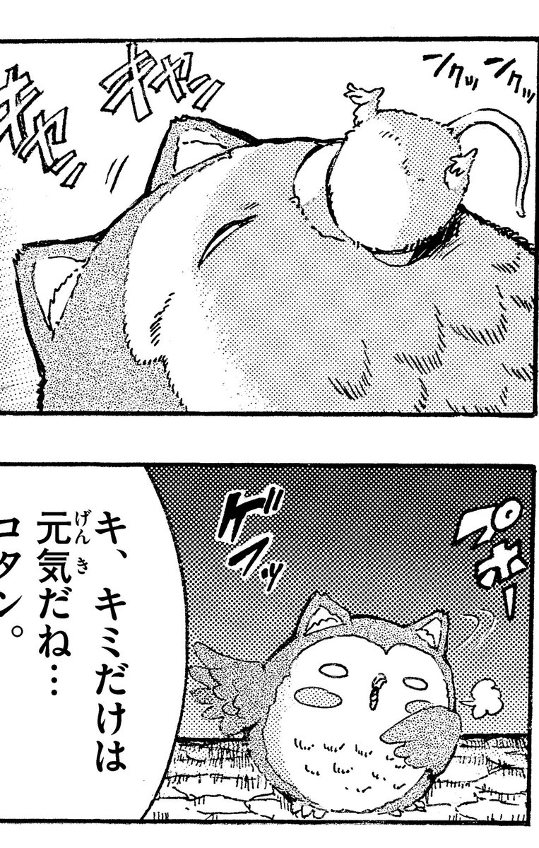 どうもと 少年サンデー編集部 今週の少年サンデー 君は008は99話 ドグラ マグラが中野高校に襲撃 諜報員は不在 どうなる やっぱり何を載せてもネタバレになっちゃうので またコタン画像を置いときます W 次号は100話 連載2周年記念カラー