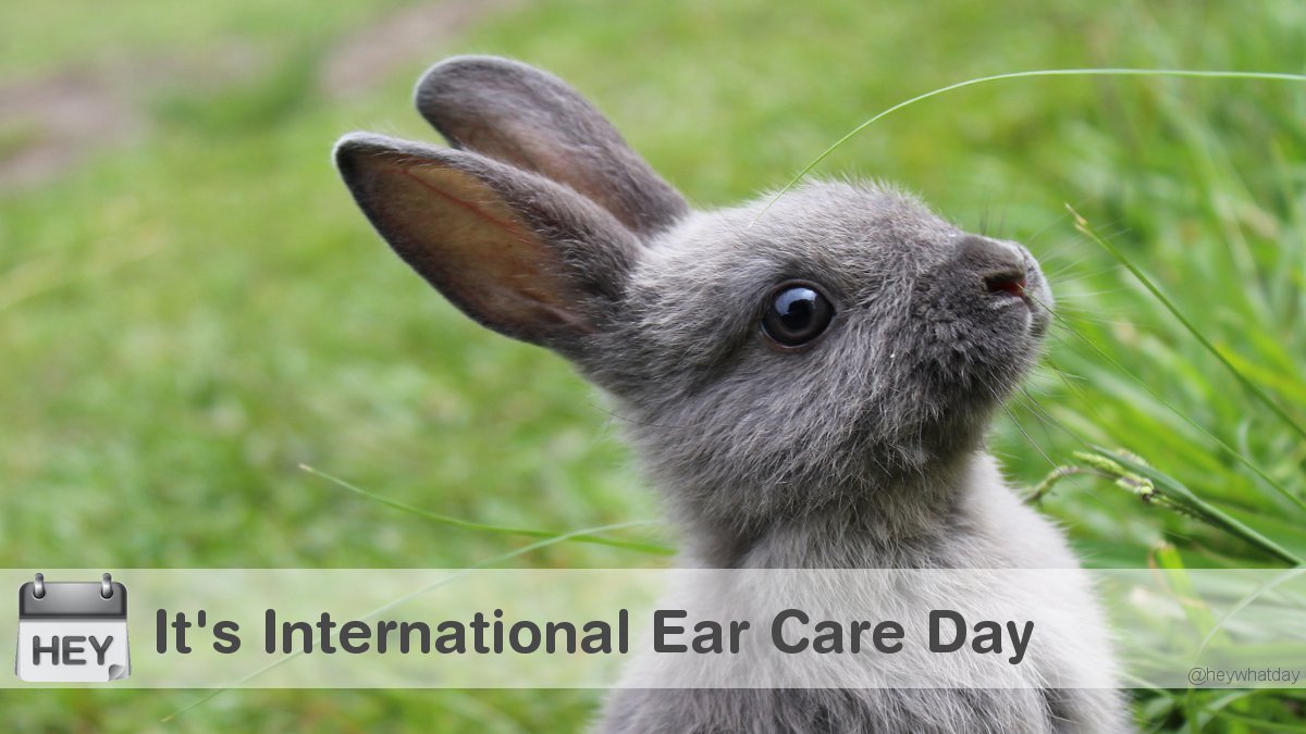 HeyWhatDay's tweet photo. It's International Ear Care Day!
#InternationalEarCareDay #EarCareDay #HearingDay #WorldHearingDay #WorldEarCareDay https://t.co/Ri3cAak0cQ