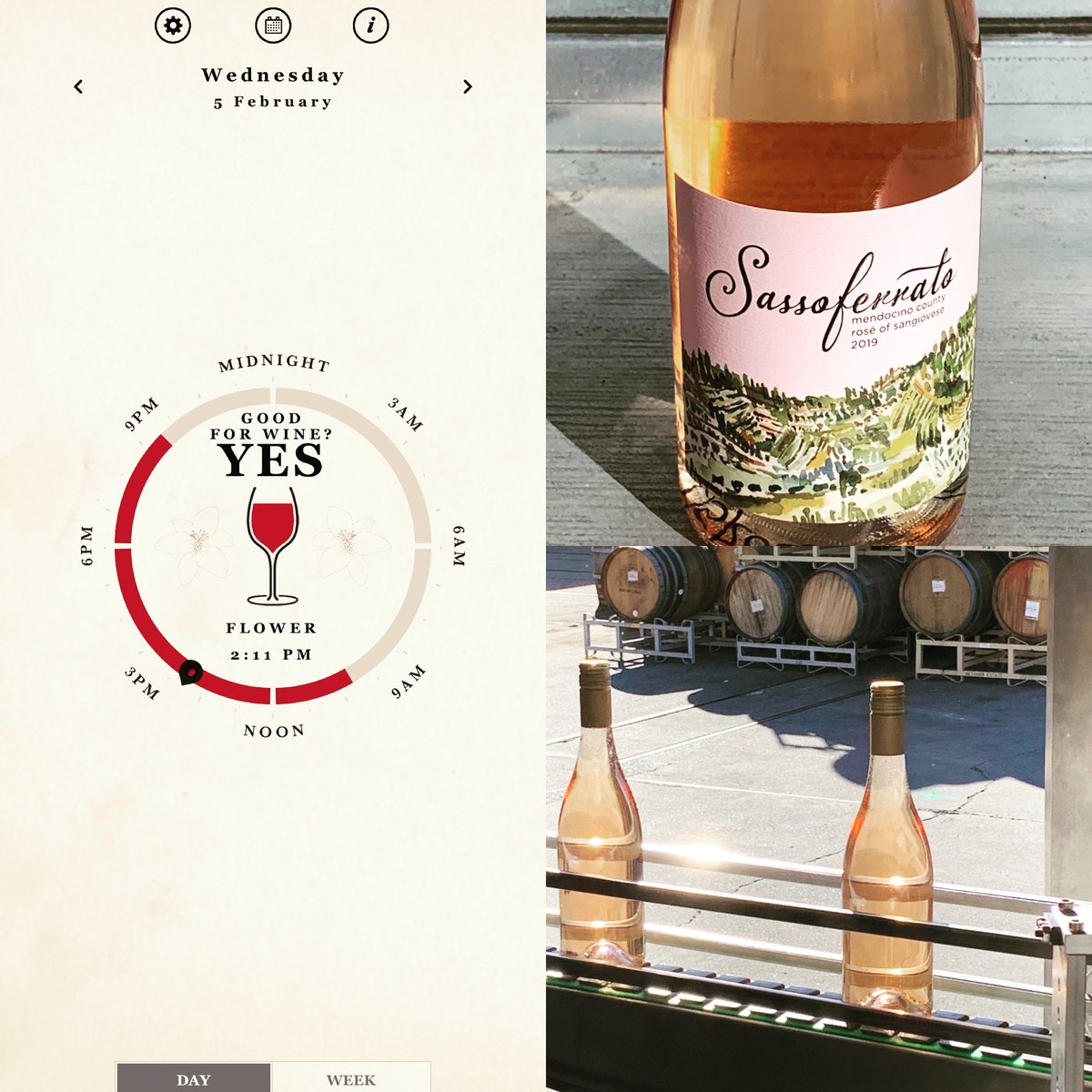 grapeseedwine's tweet photo. Spring Release Time Means Sassoferrato Wines! - https://t.co/gRTPgfnmDA https://t.co/84jmxqihW2