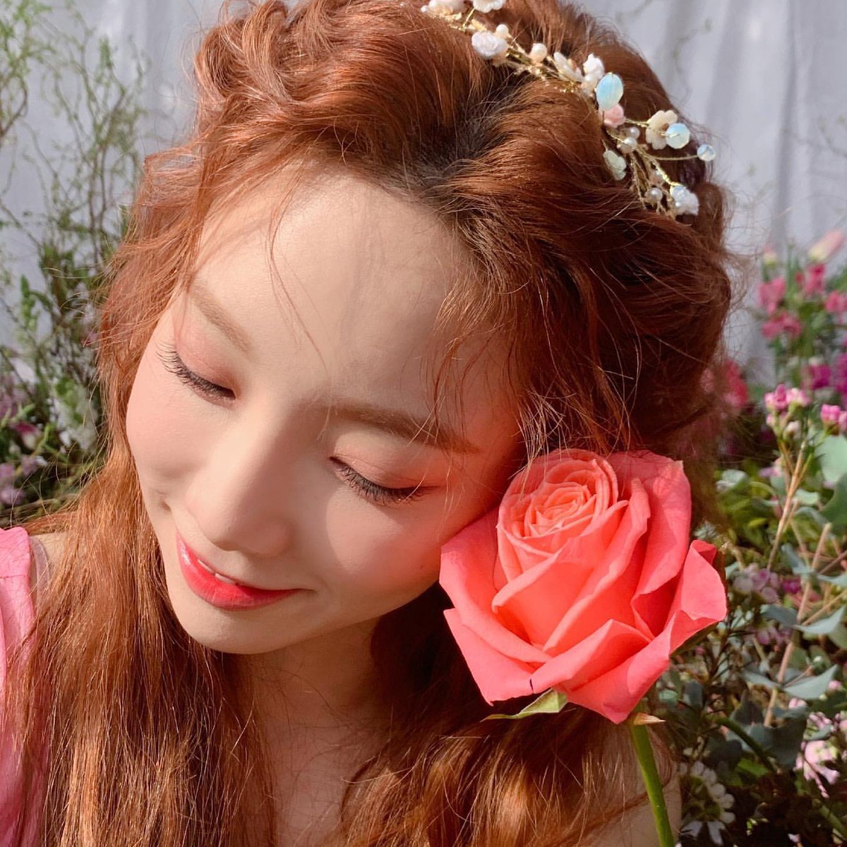 smf_se_'s tweet photo. コンセプトもテヨンもかわいすぎるやろう！！！！🌹 https://t.co/VDUqJlCKkG