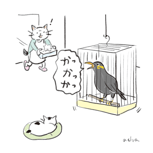 九官鳥のtwitterイラスト検索結果 古い順