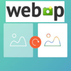 webduer tweet picture