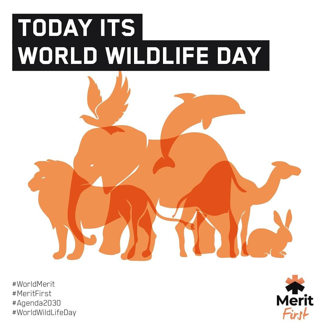 Merit First tweet media