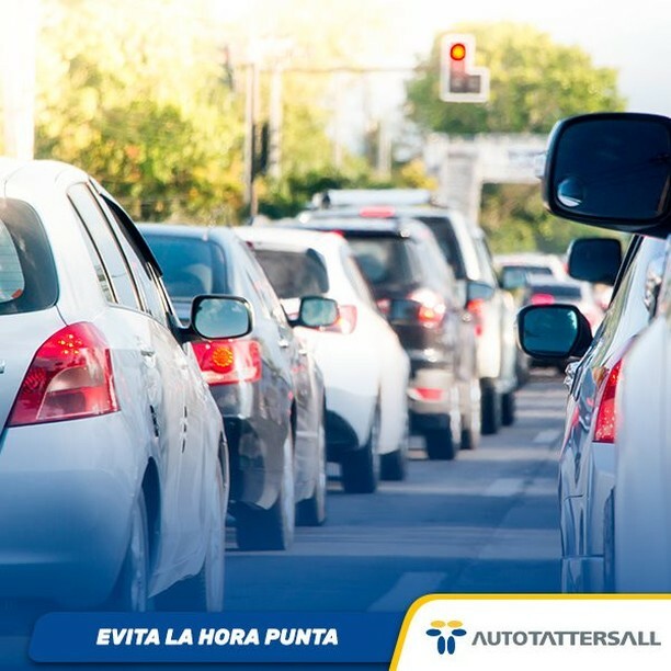 AutoTattersall's tweet photo. Evita manejar en hora punta o hazlo por caminos alternativos. Conducir estresado y en apuros nunca es una buena opción�

#autotattersall #chile #autosusados #autosusadoschile #autotattersallconcesionarios #concesionarios #autotattersallchile #revisio… https://t.co/d2C0Hd5WR3 https://t.co/UXRnpsBTVM