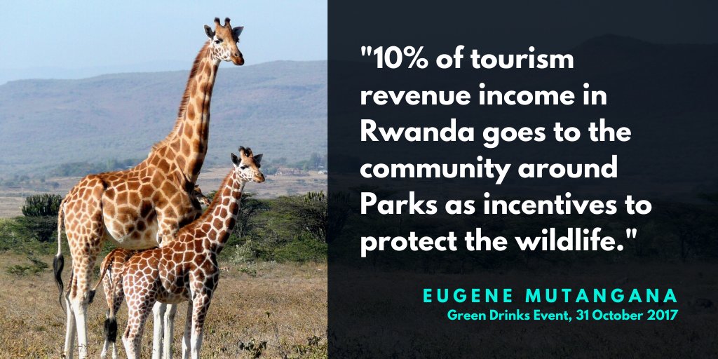 On the #WorldWildlifeDay we reflect on Rwanda's effort to protect wildlife. 🦒🦍🐒🌿

Happy #WorldWildlifeDay! #GreenDrinks #GreenRwanda
