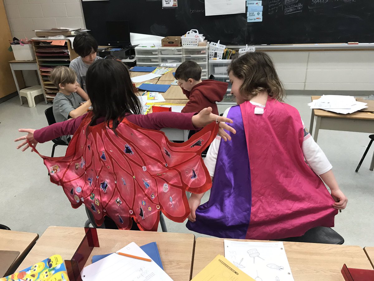 Blantyre Public School tweet media