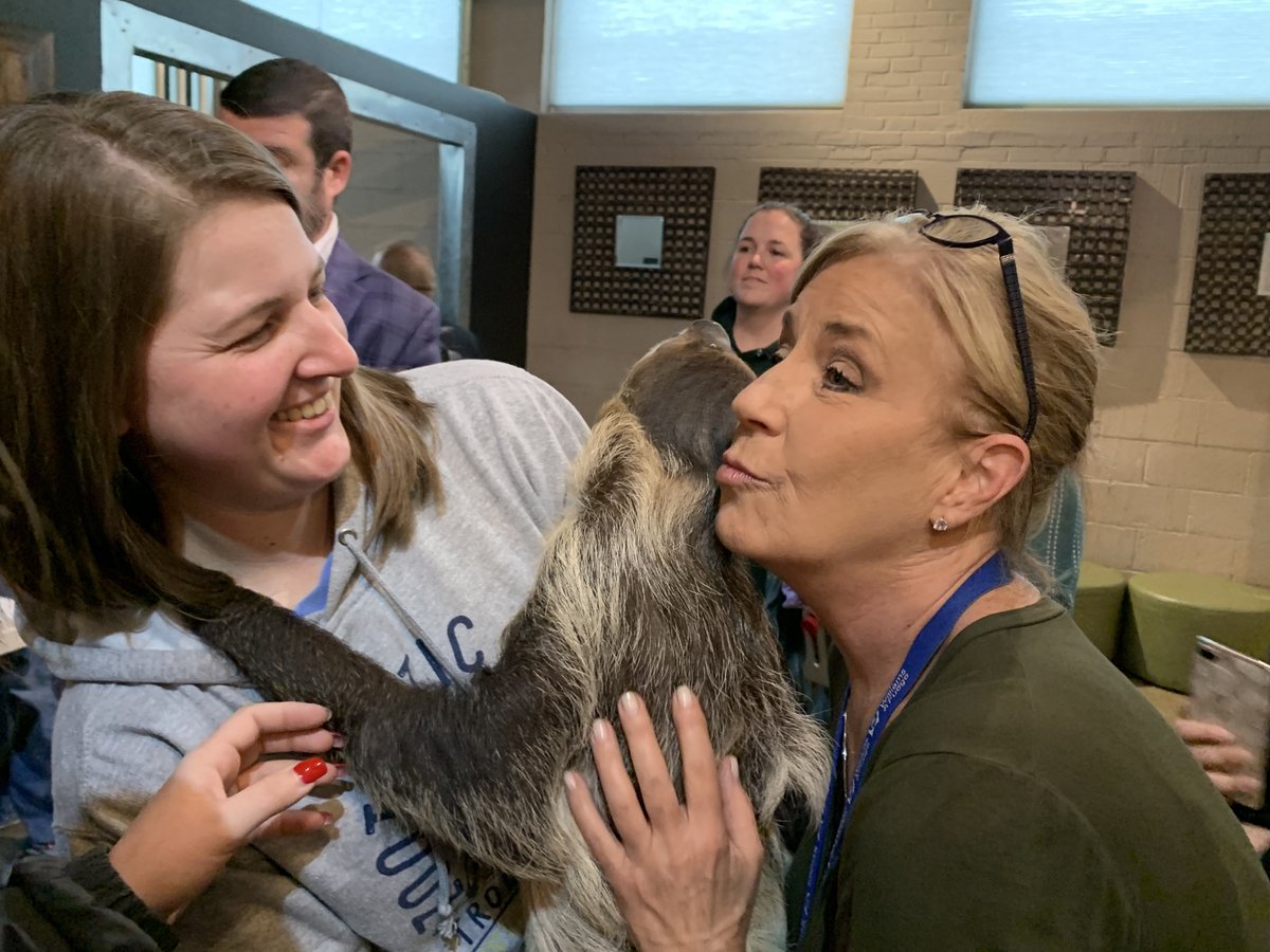 williamsfudge's tweet photo. We’re having a WILD time at the office today 😆🦥🦘🐍Thank you to @zootasticpark for another great surprise visit in honor of #WorldWildlifeDay! What is your favorite wildlife animal? #workplaygive #wildlife #zootastic #workplacefun https://t.co/39I0l180yO