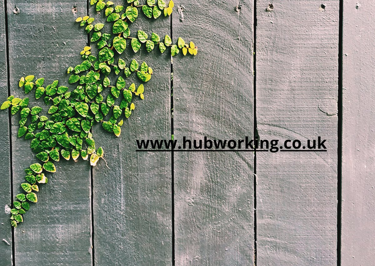 hubworking tweet picture