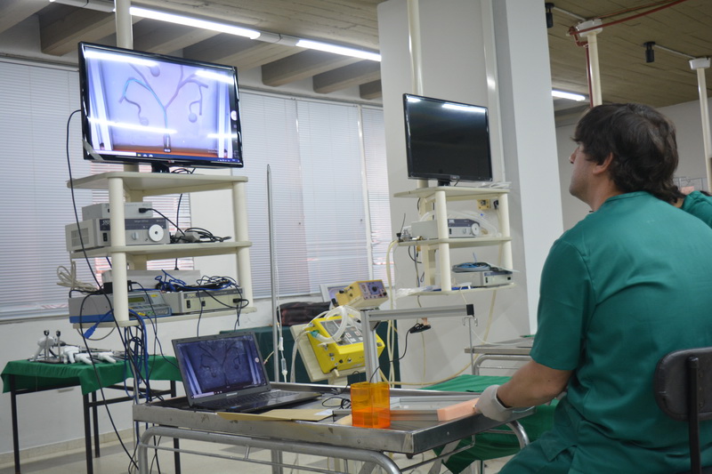 Continúan las inscripciones para los profesionales interesados en el Curso "Hands On" de Cirugía Laparascópica de Ecografía y Cirugía Percutánea.👩⚕️👨⚕️
📆 18 y 19 de Mayo.
✔️ Procedimientos en vivo, ✔️ Practica en fantomas y animales, ✔️ Simulaciones en pacientes