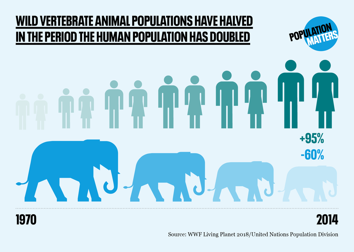 PopnMatters's tweet photo. Since 1970, the population sizes of wild mammals, birds, amphibians, reptiles and fish have plummeted by an average of 60%. During that time, our own population more than doubled. #PopulationMatters #WorldWildlifeDay #WWD2020 https://t.co/XEoqKdGLx6