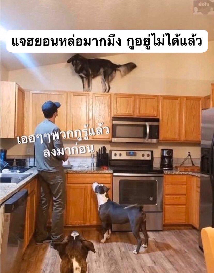 ˚· 𝙗𝙤𝙤 ✿ tweet media