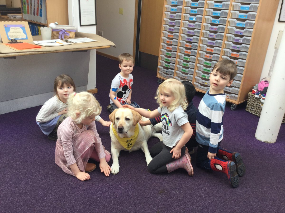 spaceplaceeyc1's tweet photo. When Tess met the children it was magical #therapets #goldenlabrador #childsbestfriend https://t.co/Mub6M5l1KU