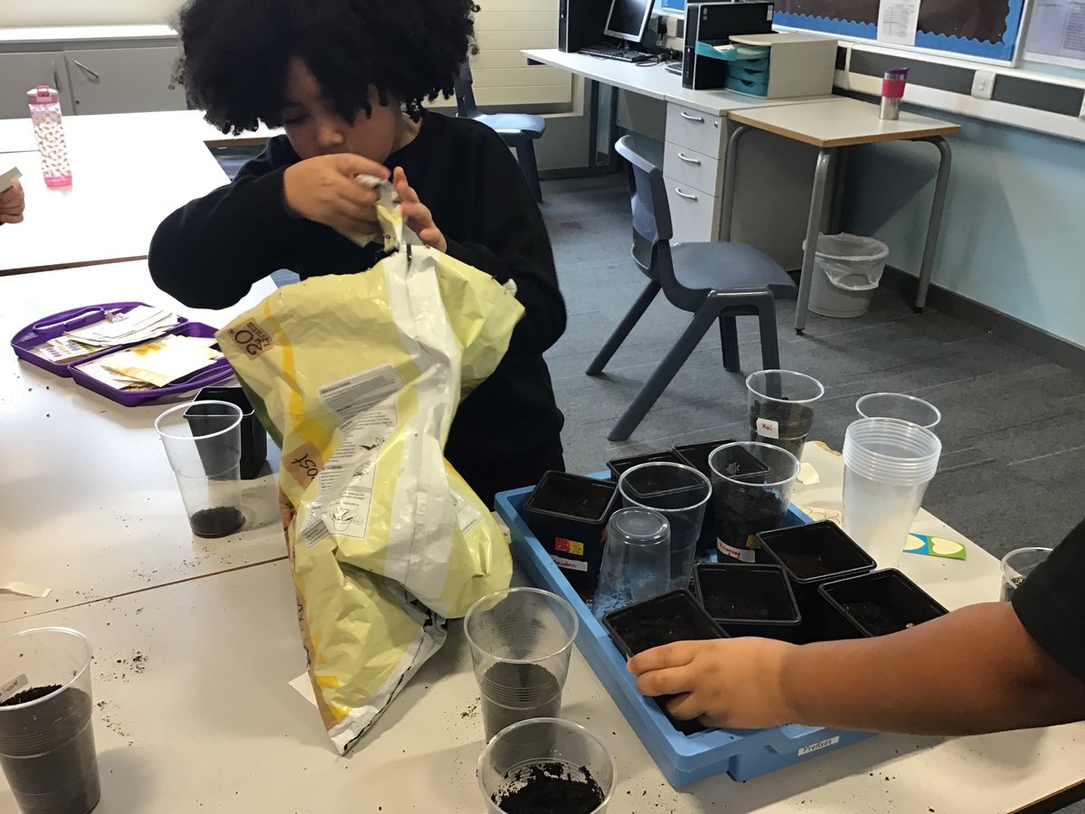 We planted sunflowers in our Science lesson today 🌻 We are going to be measuring our flowers and seeing which flower can grow the highest!