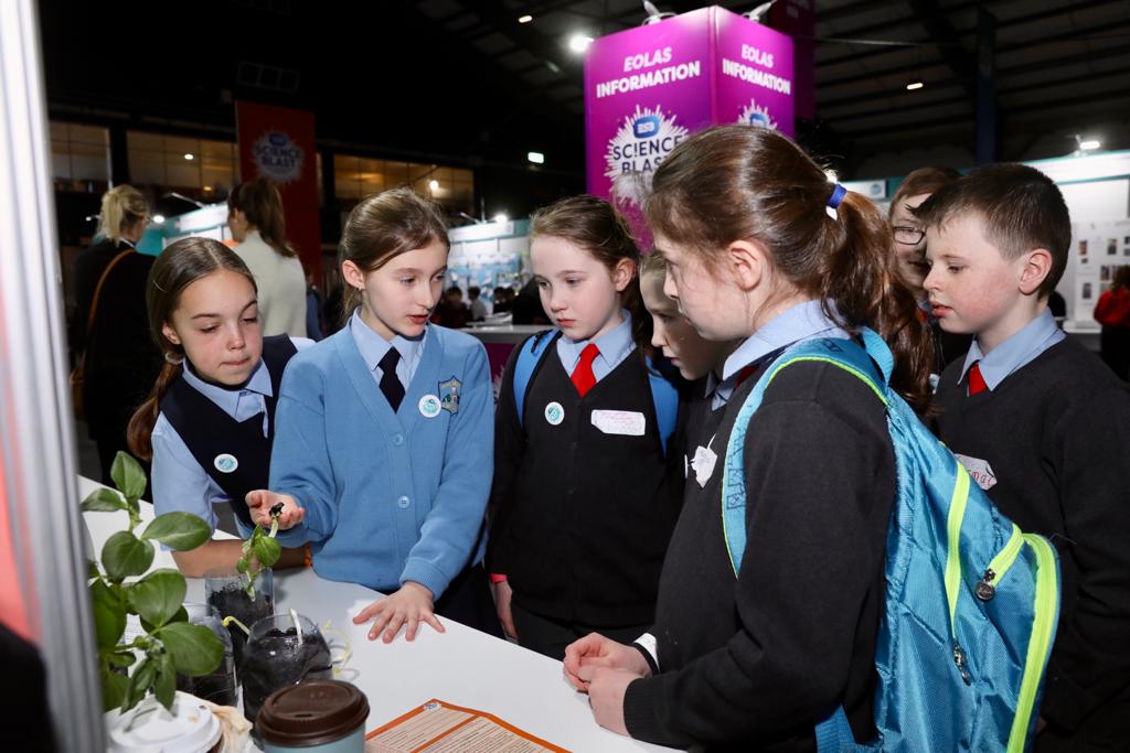 TheRDS's tweet photo. Another great day of #ESBScienceBlast brought to the schools of Ireland by @TheRDS. Our mission is to see Ireland thrive culturally and economically, and it is realised so brilliantly through this long-term investment in the next generation.
#STEM #believeinscience https://t.co/Uc7Wl8mGd9