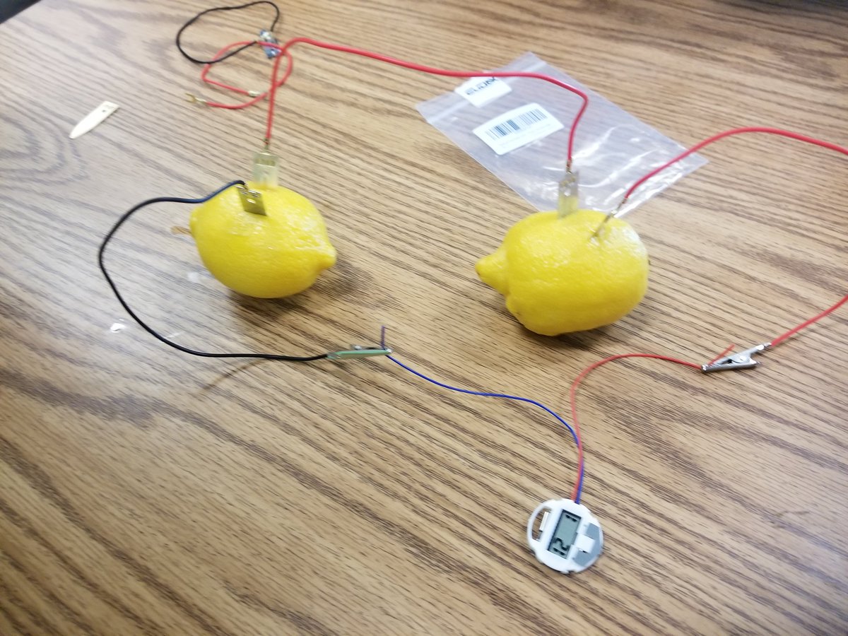 MagicClipperSh1's tweet photo. Lemon powered clocks! #4thgrade
#scienceiselectric #energy https://t.co/QxVcdPWxoa