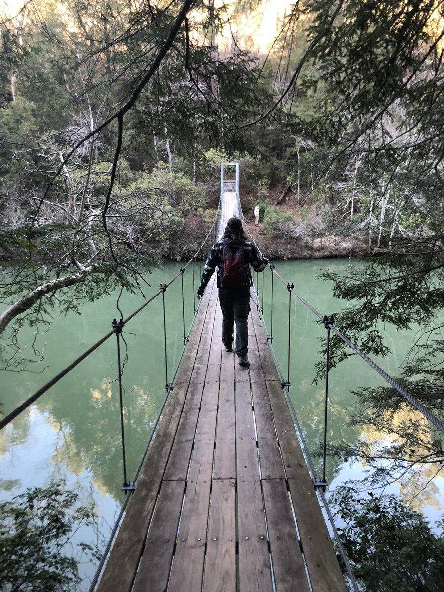KenzEcologist's tweet photo. My first conference at #SEARC2020 was more enriching and fun than I ever could’ve imagined! Thanks @ElizabethShadl4 for your awesome mentoring and #mimslab for giving me the opportunity to fulfill my dreams! https://t.co/vXNructOuk