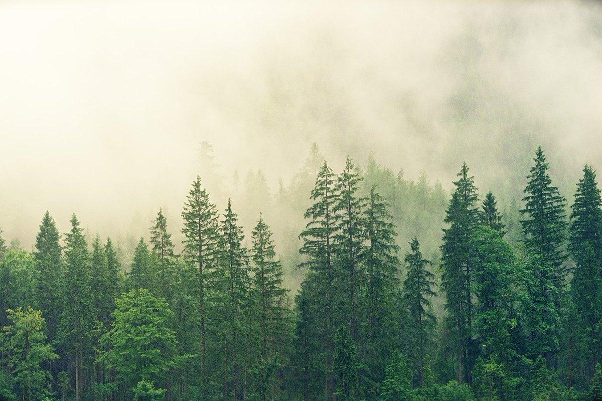 ClimeCo's tweet photo. #ClimeCo’s February #blog “Moving Forward with Net-Zero” written by Policy Analyst, Zach Harmer and Marketing Director, Nancy Marshall, is live!
Click here to read: https://t.co/ZEy5XkNjhG
#TeamClimeCo #ClimeCoBlog #CarbonMarkets #EnvironmentalMarkets #Sustainability https://t.co/8UaUnP3V5c