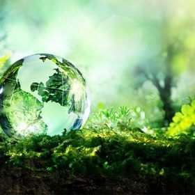 Whilst #Glass is considered a staple sustainable material, there's a surprising level of single-use through demand for virgin glass. The "Drinks Industry Sustainability Index 2020" shows a large deficit in sustainable practices across the Drinks Industry. buff.ly/39ijrN6