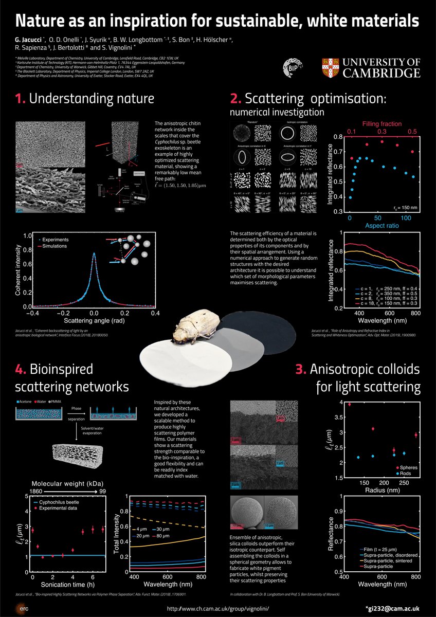 Sometimes a very simple colour can reveal the most complex story. 
#RSCPoster #RSCPoster2020 #RSCMat #RSCPhys #RSCEnv