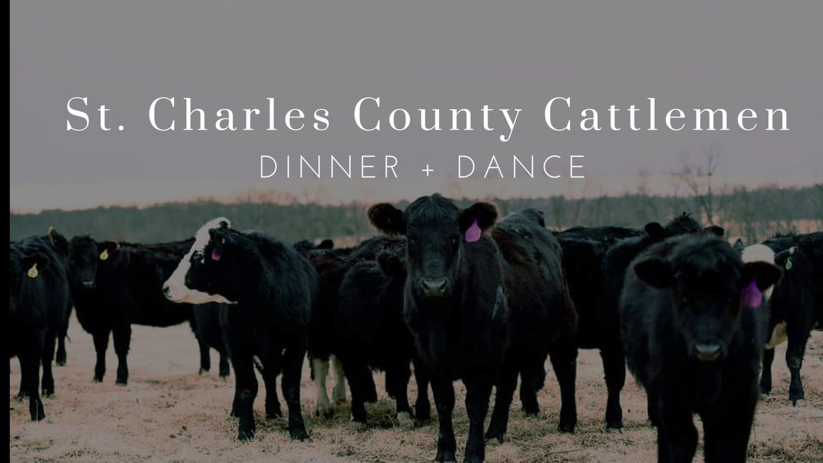 JessiAub's tweet photo. Come out to the St. Charles County Cattlemen dinner + dance this weekend! Steak dinner + live music + supporting agriculture. #MObeef #StCharlesCountyCattlemen @ryancattlefarm @MoCattle https://t.co/uG0kkAR0SB https://t.co/kATXo01yzj