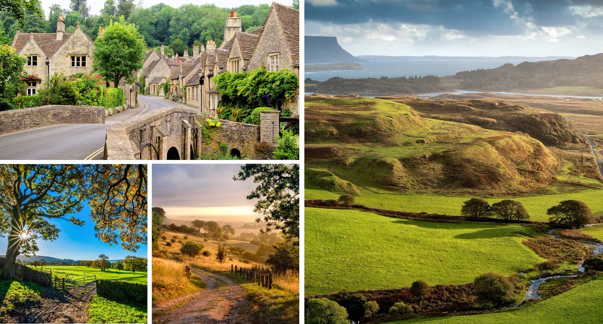 Richard May tweet media